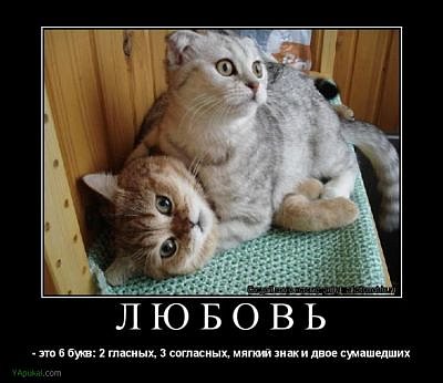 http://cs719.vkontakte.ru/u44885511/115715540/x_e7d8e3fc.jpg